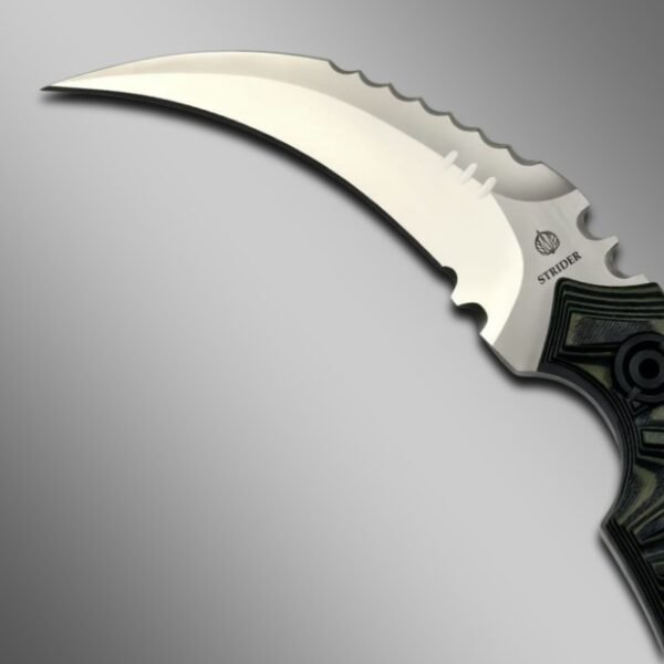 WhatsApp-Image-2025-10-27-at-10.57.39-1